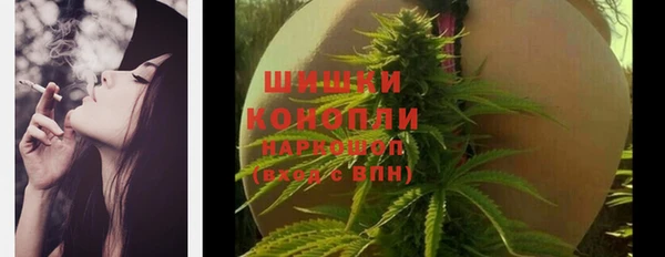 твердый Балахна