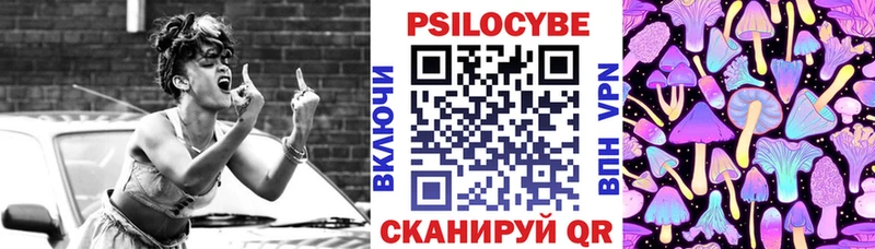 Псилоцибиновые грибы Psilocybe Строитель